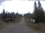Archiv Foto Webcam Kammloipe Butterweg 13:00