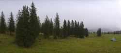 Archiv Foto Webcam Alp Sellamatt - Zinggen Pub 07:00