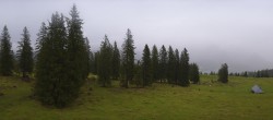 Archiv Foto Webcam Alp Sellamatt - Zinggen Pub 08:00