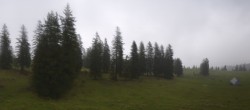 Archiv Foto Webcam Alp Sellamatt - Zinggen Pub 11:00