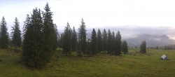 Archiv Foto Webcam Alp Sellamatt - Zinggen Pub 05:00