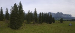 Archiv Foto Webcam Alp Sellamatt - Zinggen Pub 09:00