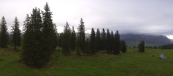 Archiv Foto Webcam Alp Sellamatt - Zinggen Pub 08:00