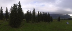 Archiv Foto Webcam Alp Sellamatt - Zinggen Pub 10:00