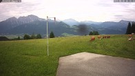 Archived image Webcam Pub Zillreith 05:00