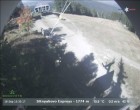 Archived image Webcam Sitnyakovo 14:00