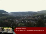 Archiv Foto Webcam Nationalparkgemeinde Ringelai 05:00