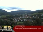 Archiv Foto Webcam Nationalparkgemeinde Ringelai 11:00