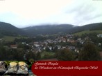 Archiv Foto Webcam Nationalparkgemeinde Ringelai 19:00