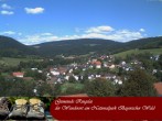 Archived image Webcam Ringelai, Bavarian Forest 11:00