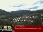 Archiv Foto Webcam Nationalparkgemeinde Ringelai 10:00