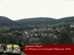 Archiv Foto Webcam Nationalparkgemeinde Ringelai 13:00