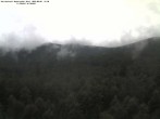 Archived image Webcam Großer Rachel, Bavarian Forest 17:00