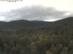 Archiv Foto Webcam Blick auf den Großen Rachel 08:00
