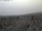 Archived image Webcam Großer Rachel, Bavarian Forest 07:00
