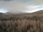 Archived image Webcam Großer Rachel, Bavarian Forest 11:00