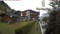 Archiv Foto Webcam Hotel Alpenstüble, Mittelberg 13:00