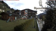 Archiv Foto Webcam Hotel Alpenstüble, Mittelberg 09:00