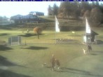 Archived image Webcam Reit im Winkl-Kössen: Golf course 13:00