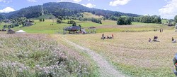 Archived image Webcam Praz sur Arly valley 13:00