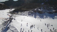 Archiv Foto Webcam Whakapapa: Happy Valley 11:00