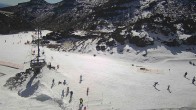 Archived image Webcam Happy Valley - Whakapapa Ski Resort 11:00
