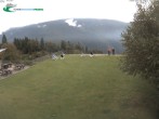 Archived image Webcam Top station of Molveno-Pradel 08:00