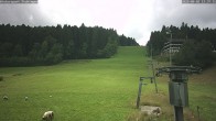 Archiv Foto Webcam Freudenstadt - Skilift Stokinger 13:00