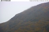 Archiv Foto Webcam Skigebiet Glencoe Mountain - Abfahrt Flypaper und East Ridge 06:00