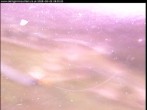 Archived image Webcam Cairngorm Mountain Ski Resort - Base Station 06:00