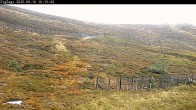 Archiv Foto Webcam Skigebiet Cairngorm Mountain - Zig Zags Piste 08:00