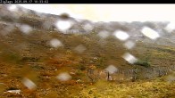 Archiv Foto Webcam Skigebiet Cairngorm Mountain - Zig Zags Piste 08:00