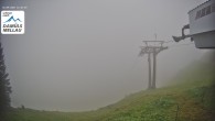 Archiv Foto Webcam Mellau: Bergstation Wildgunten 11:00