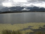 Archived image Webcam at Hopfen am See: Restaurant Fischerhütte 07:00