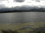 Archived image Webcam at Hopfen am See: Restaurant Fischerhütte 11:00