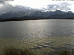 Archived image Webcam at Hopfen am See: Restaurant Fischerhütte 15:00