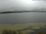 Archived image Webcam at Hopfen am See: Restaurant Fischerhütte 06:00