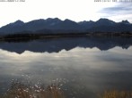 Archived image Webcam at Hopfen am See: Restaurant Fischerhütte 11:00