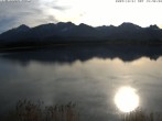Archived image Webcam at Hopfen am See: Restaurant Fischerhütte 13:00