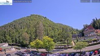 Archiv Foto Webcam Burgberg Bad Harzburg 11:00