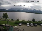 Archived image Webcam View from Seehotel Hartung to Hopfensee 15:00