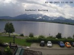 Archiv Foto Webcam Blick vom Seehotel Hartung auf den Hopfensee 11:00