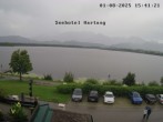 Archiv Foto Webcam Blick vom Seehotel Hartung auf den Hopfensee 15:00