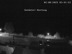 Archiv Foto Webcam Blick vom Seehotel Hartung auf den Hopfensee 04:00