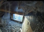 Archiv Foto Webcam Dom in Aachen: Falken im Westturm 05:00