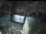 Archiv Foto Webcam Dom in Aachen: Falken im Westturm 06:00