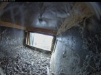 Archiv Foto Webcam Dom in Aachen: Falken im Westturm 13:00