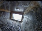 Archiv Foto Webcam Dom in Aachen: Falken im Westturm 15:00