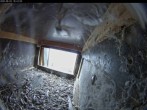 Archiv Foto Webcam Dom in Aachen: Falken im Westturm 17:00