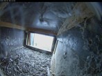 Archiv Foto Webcam Dom in Aachen: Falken im Westturm 05:00